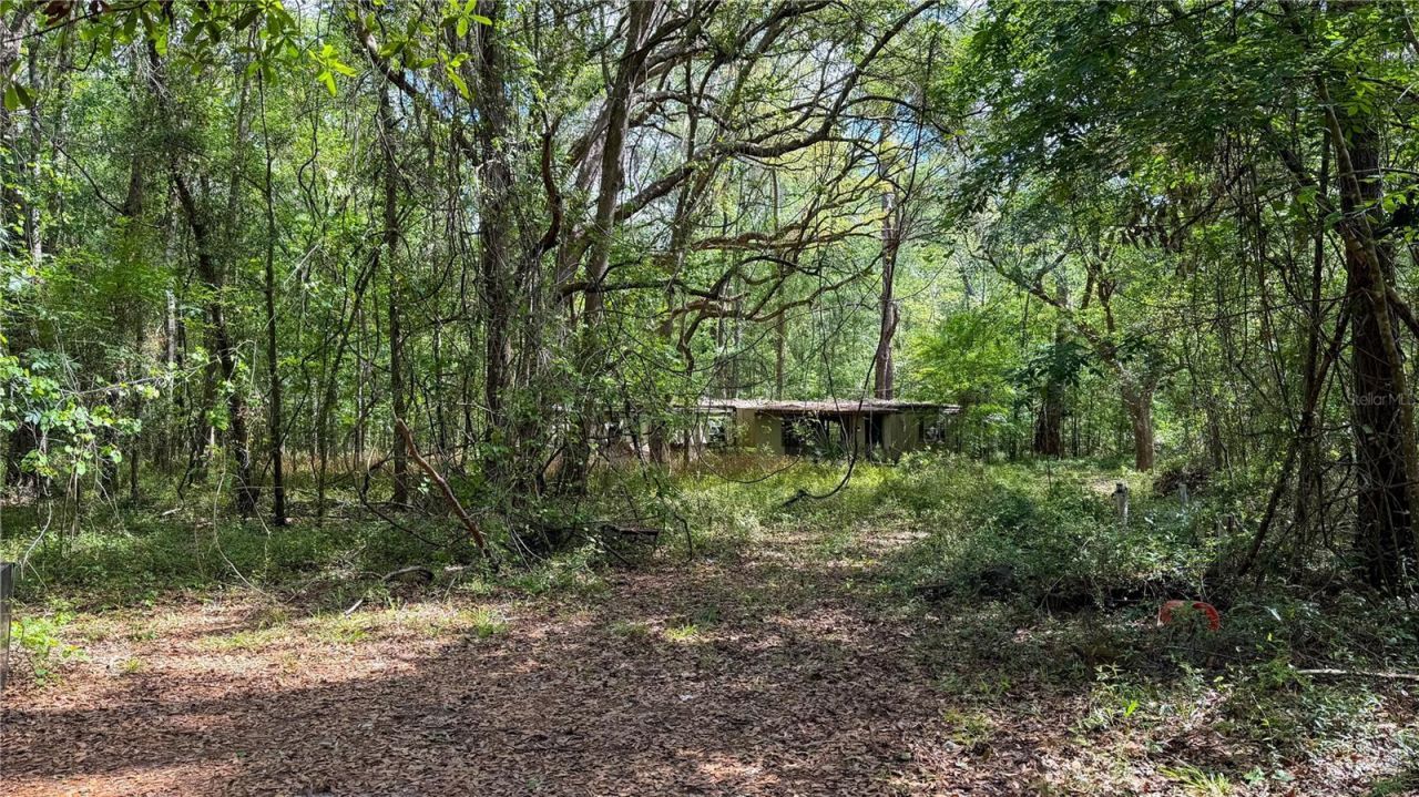7906 SW County Road 346, Archer, FL 32618 Photo