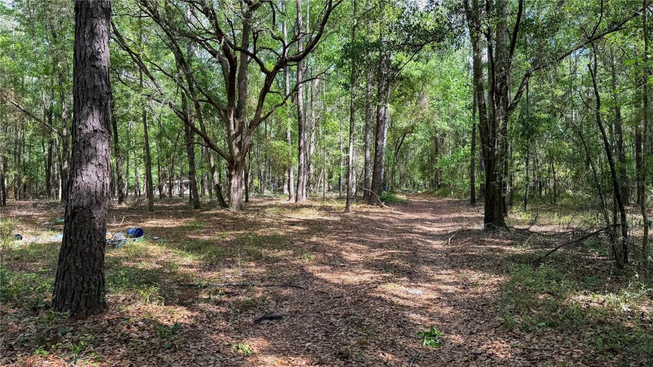 7906 SW County Road 346, Archer, FL 32618 Photo