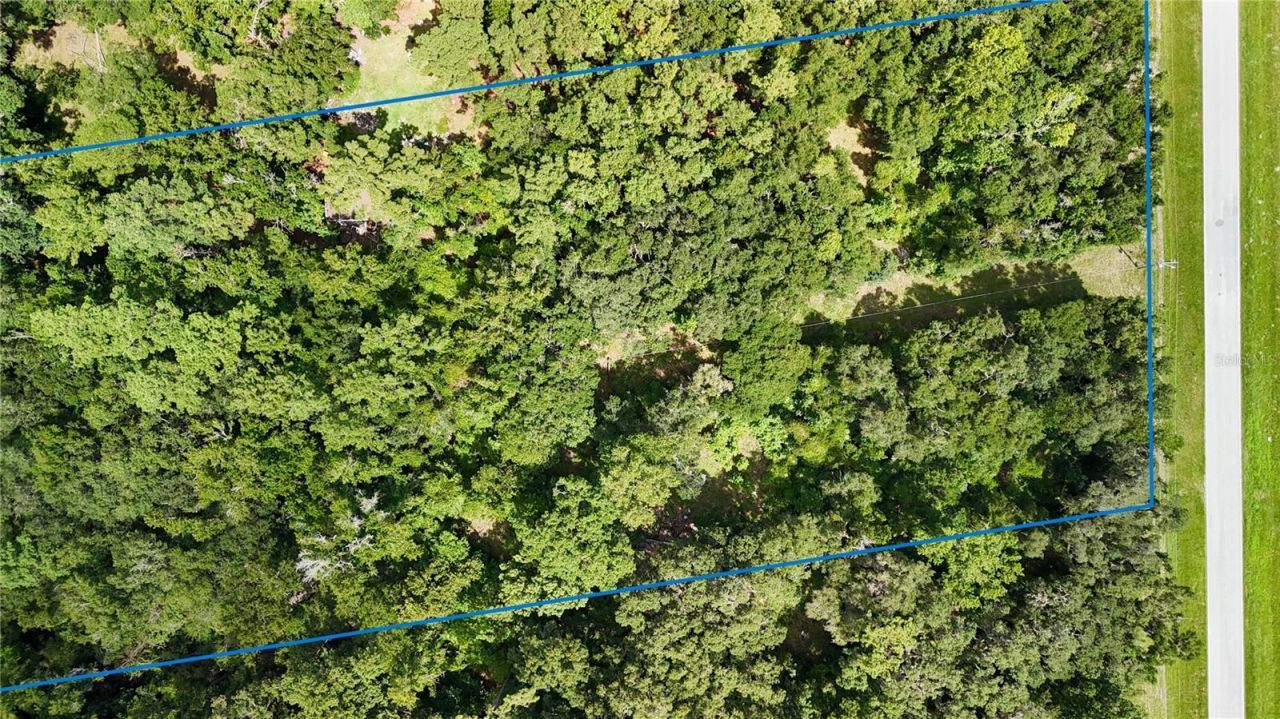 7906 SW County Road 346, Archer, FL 32618 Photo