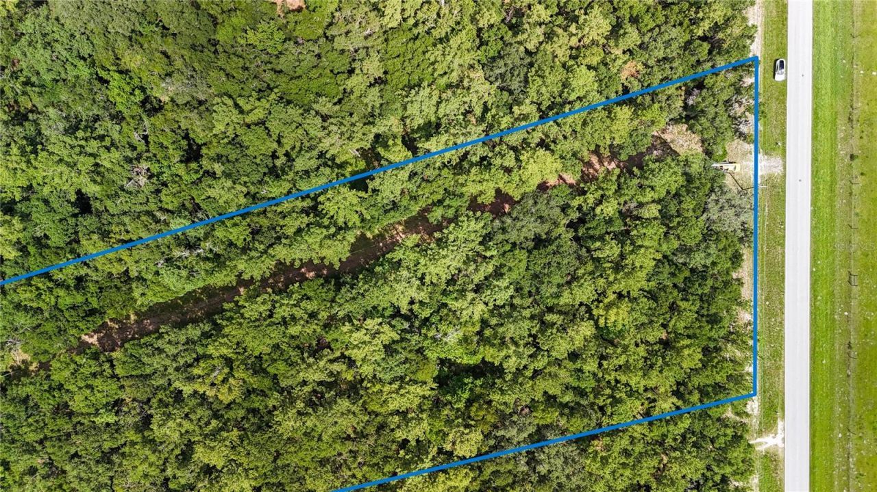 7906 SW County Road 346, Archer, FL 32618 Photo