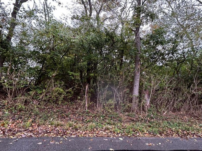 1 Bay Road, Morgan Twp, OH 45053 Photo 2