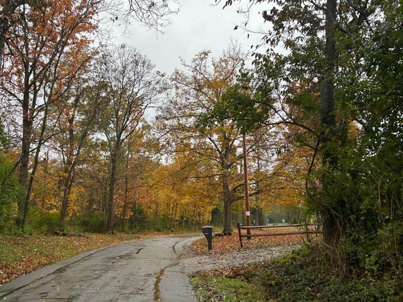 1 Bay Road, Morgan Twp, OH 45053 Photo 4