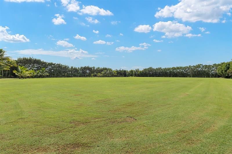 14996 50th Street, Wellington, FL 33414 Photo