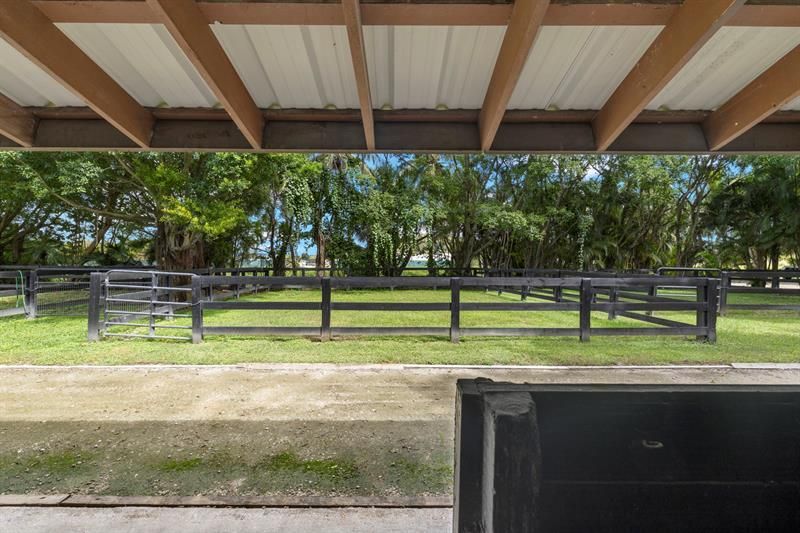 14996 50th Street, Wellington, FL 33414 Photo