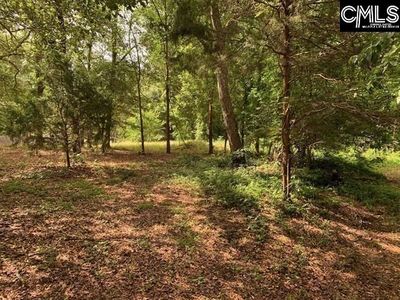 436 Peach Festival Road, Gilbert, SC 29054