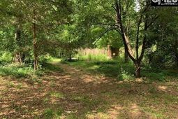 436 Peach Festival Road photo 4