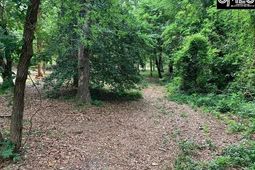 436 Peach Festival Road photo 4