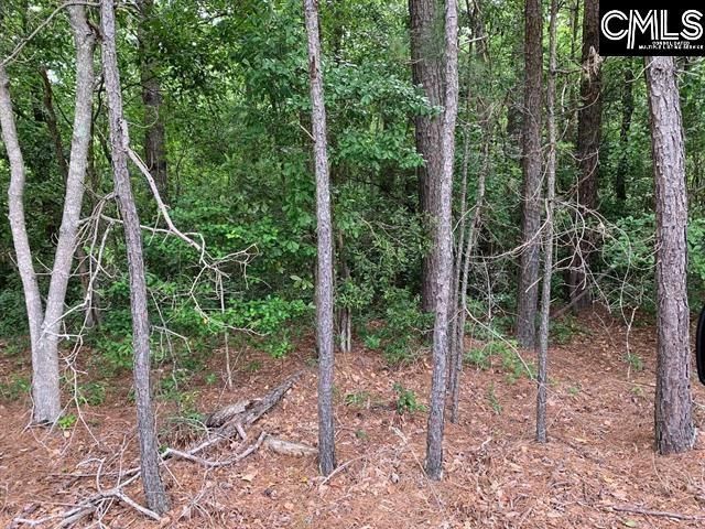 436 Peach Festival Road Photo 6