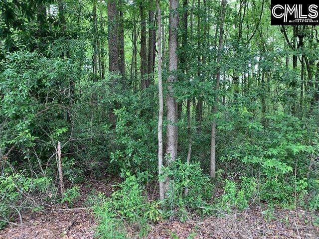 436 Peach Festival Road Photo 7