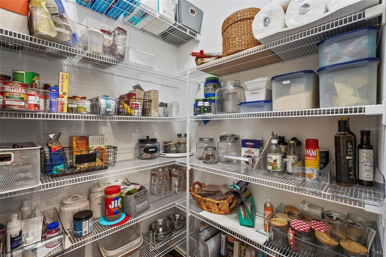 12219 Violet Jasper Drive, Parrish, FL 34219 Photo