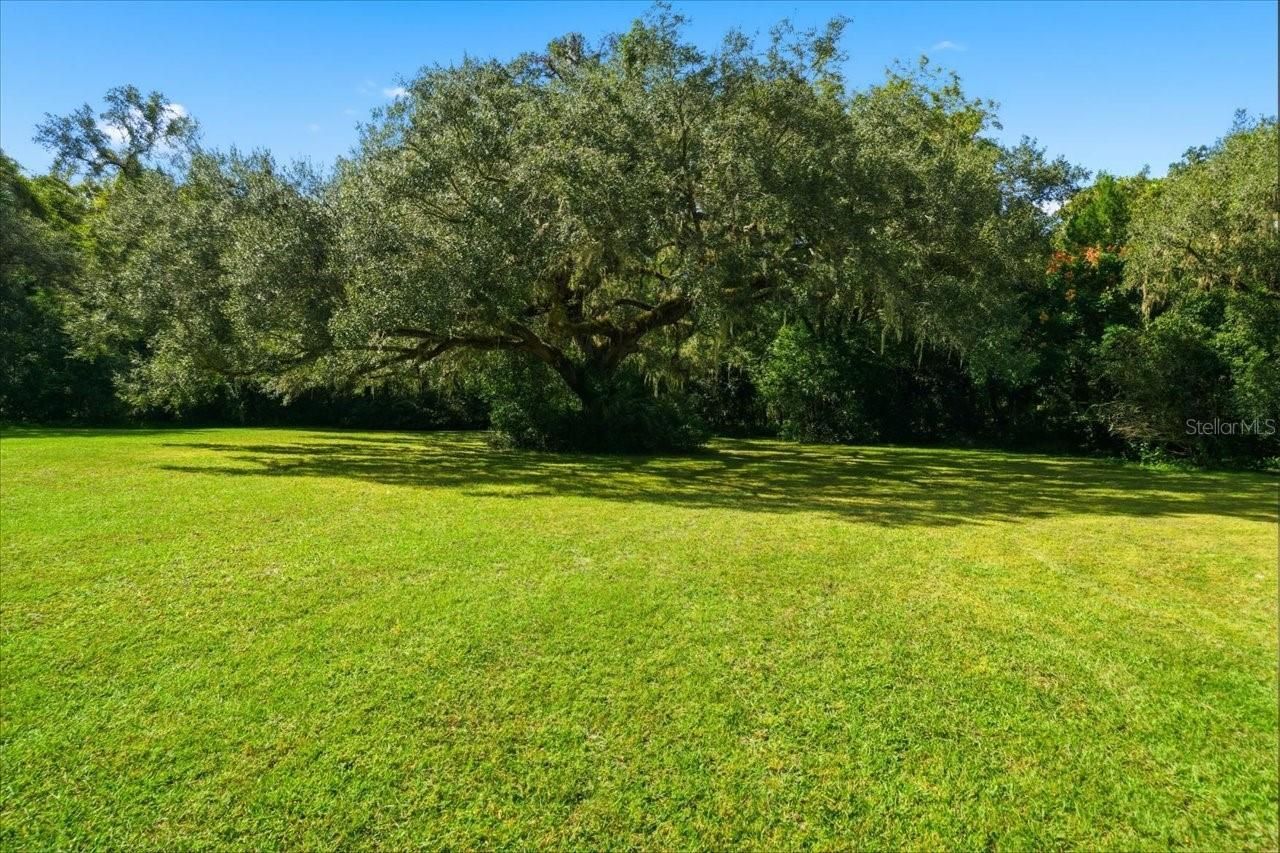 22063 Lake Lindsey Road, Brooksville, FL 34601 Photo