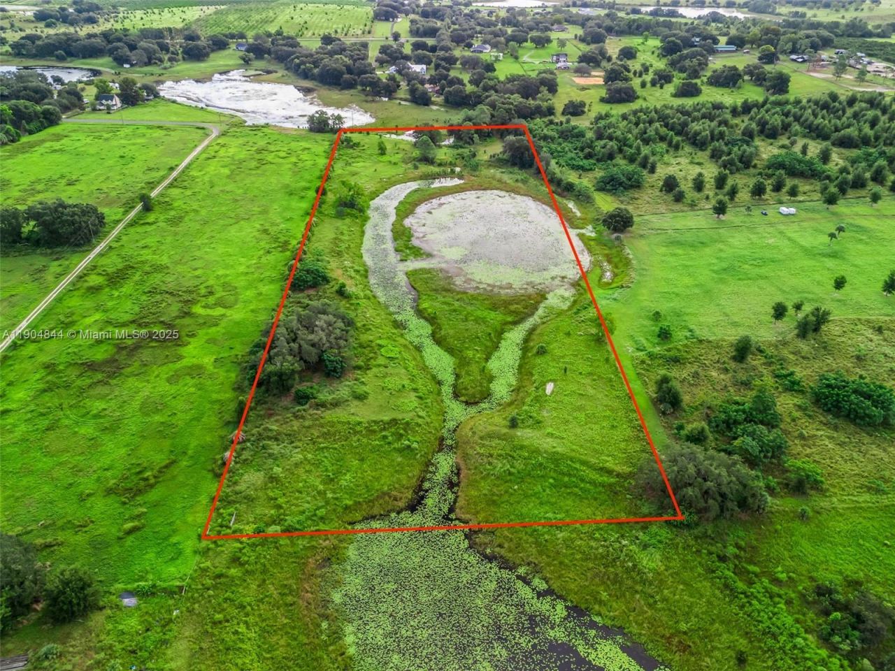 Punkin Center Road, Clermont, FL 34748 Photo