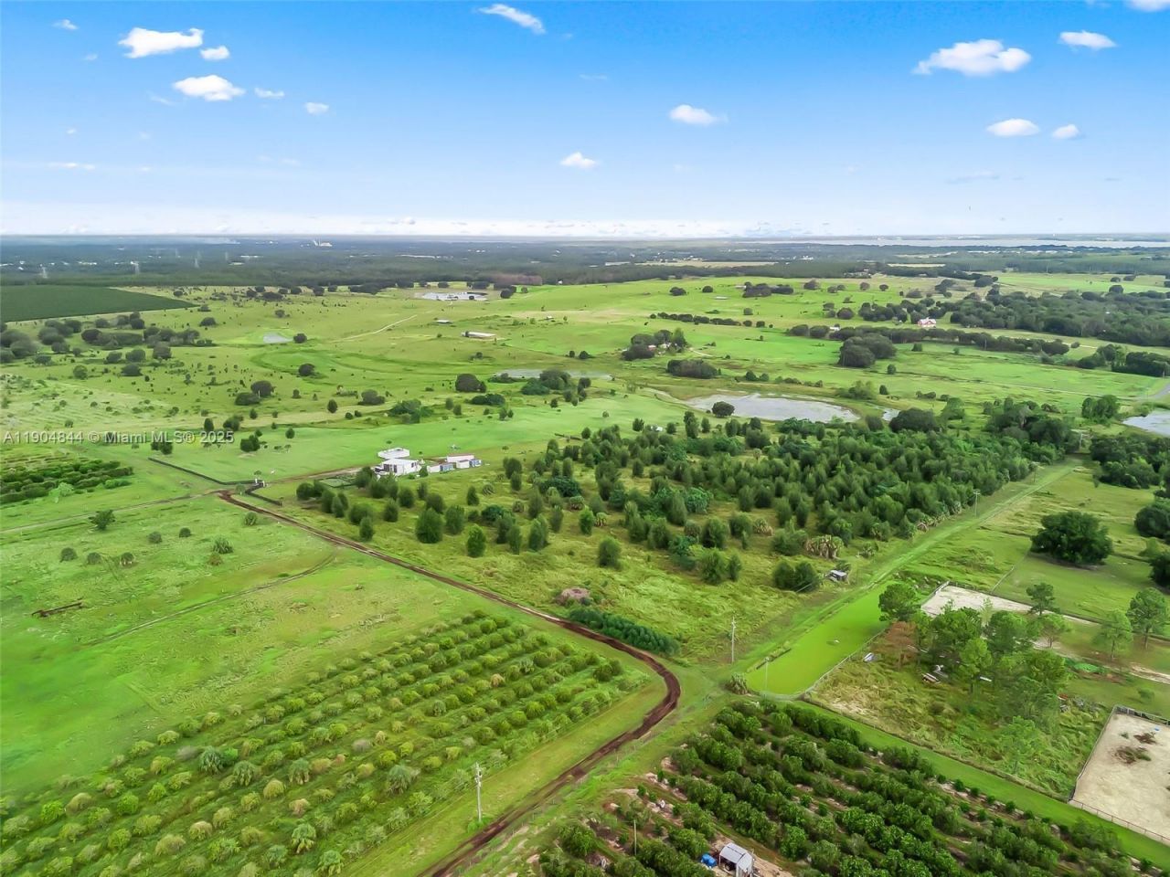 Punkin Center Road, Clermont, FL 34748 Photo