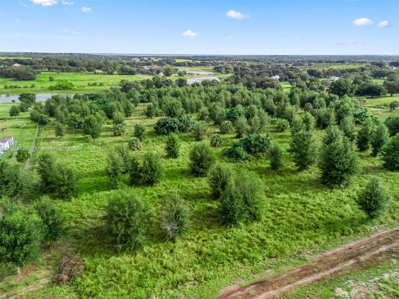 Punkin Center Road, Clermont, FL 34748 Photo