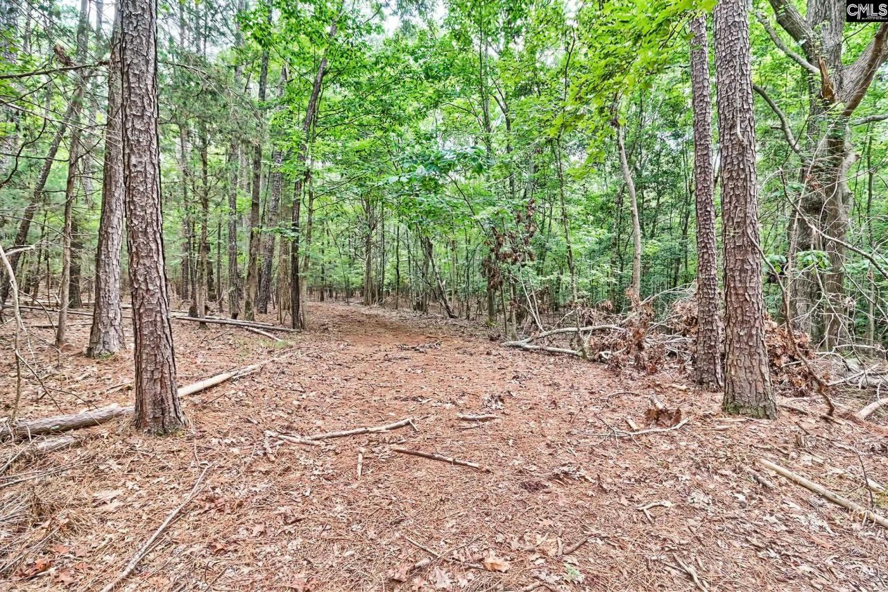 1549 Doctor Bowers Road Photo 11