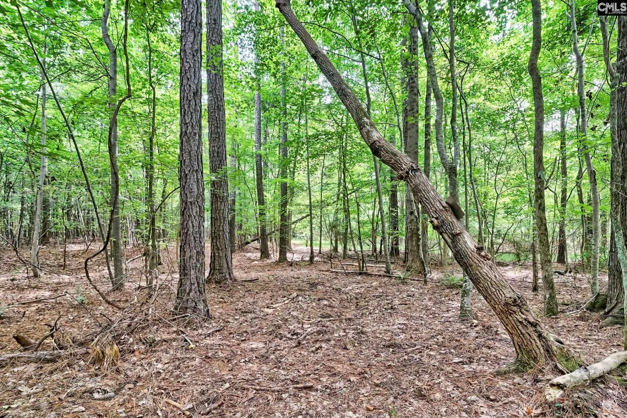 1549 Doctor Bowers Road Photo 14