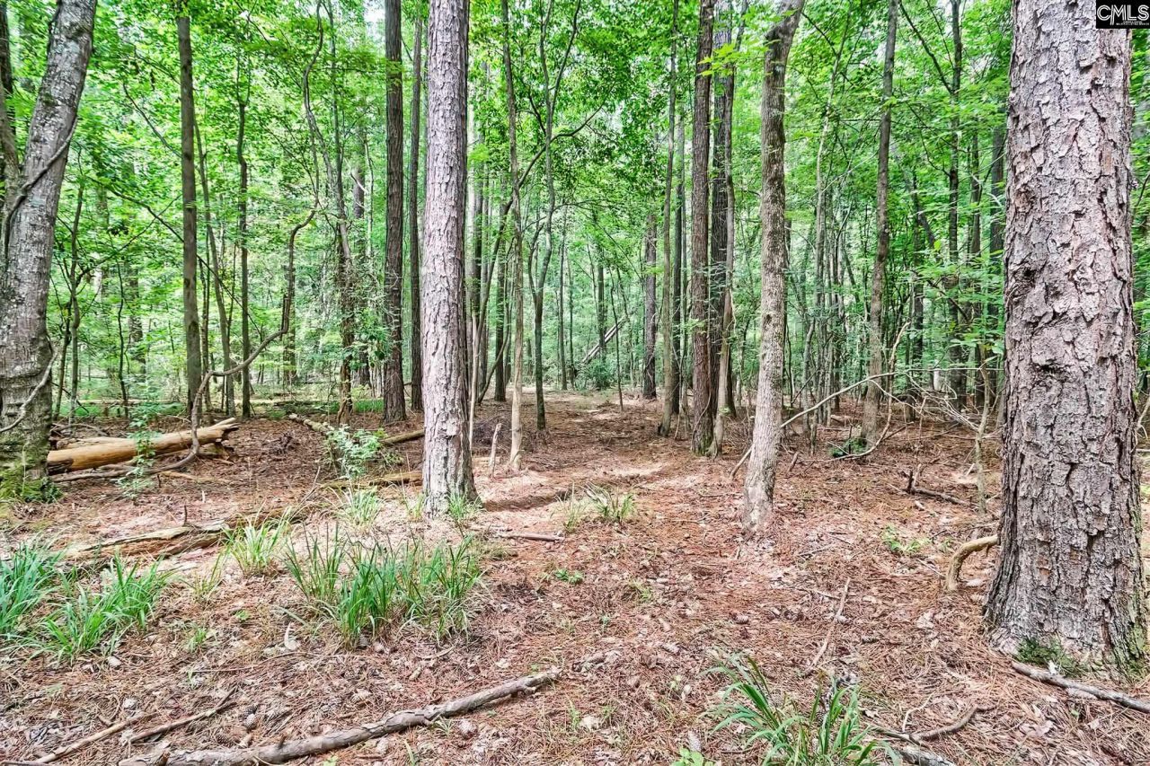 1549 Doctor Bowers Road Photo 15