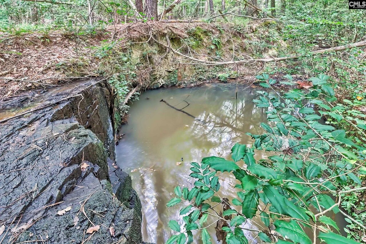 1549 Doctor Bowers Road Photo 17