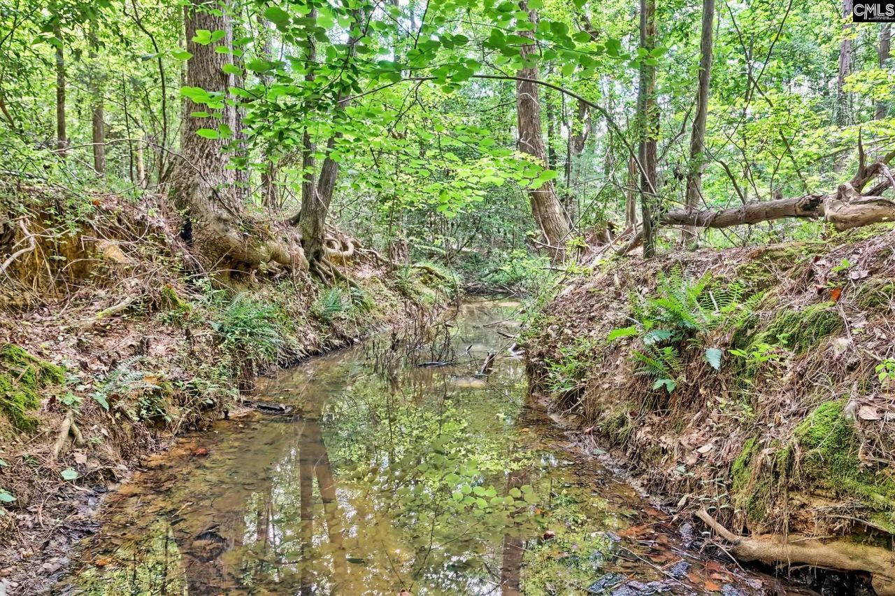 1549 Doctor Bowers Road Photo 18