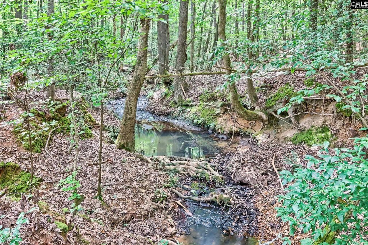 1549 Doctor Bowers Road Photo 19