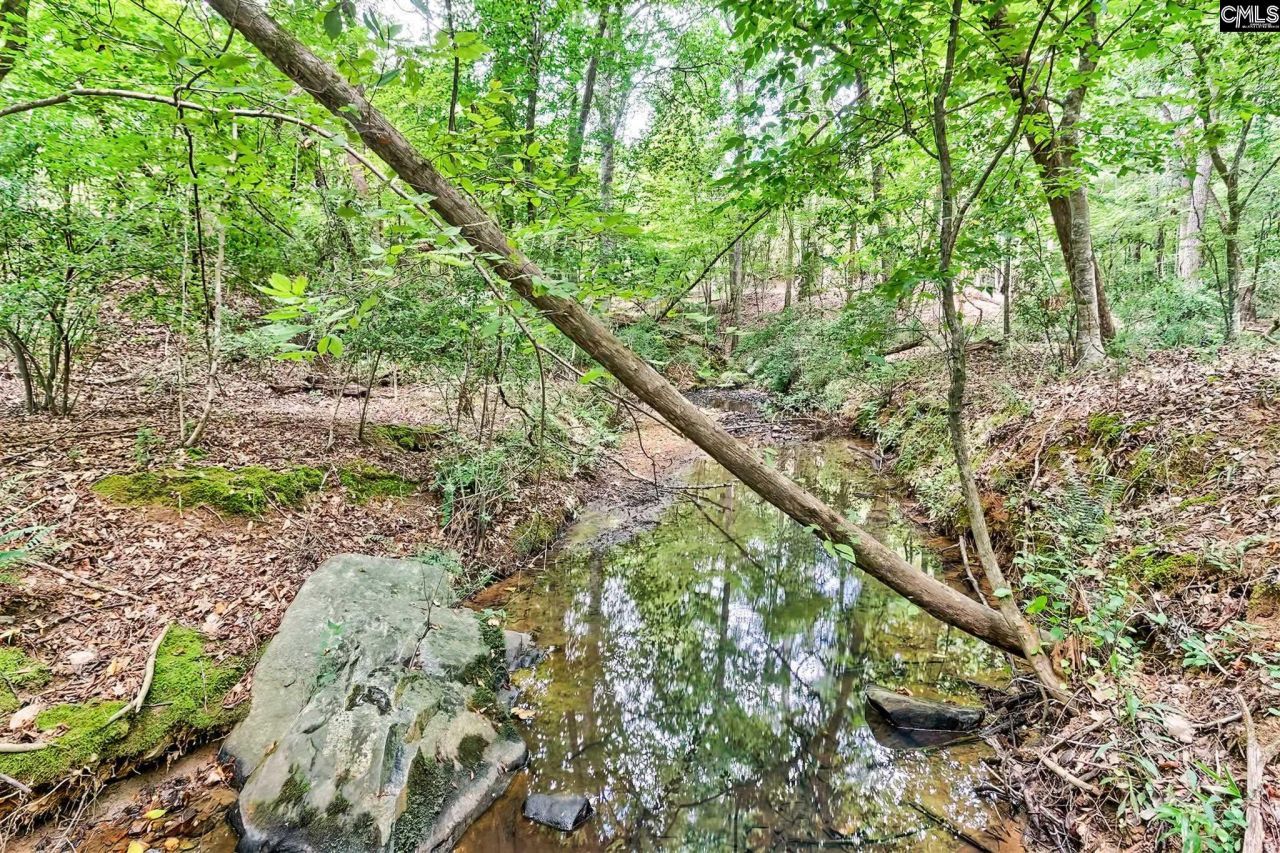 1549 Doctor Bowers Road Photo 21