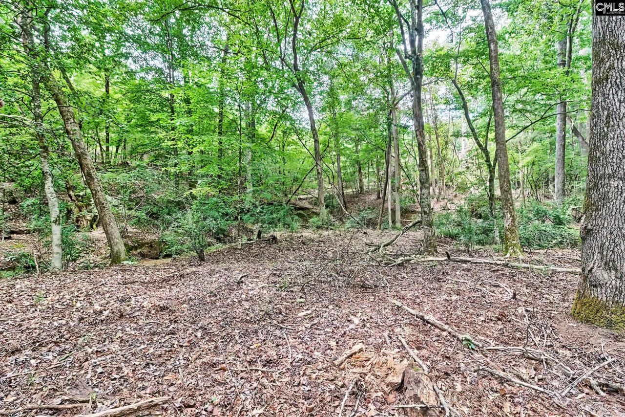 1549 Doctor Bowers Road Photo 22