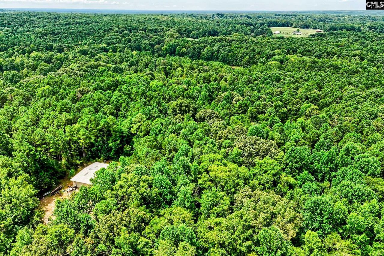 1549 Doctor Bowers Road Photo 23