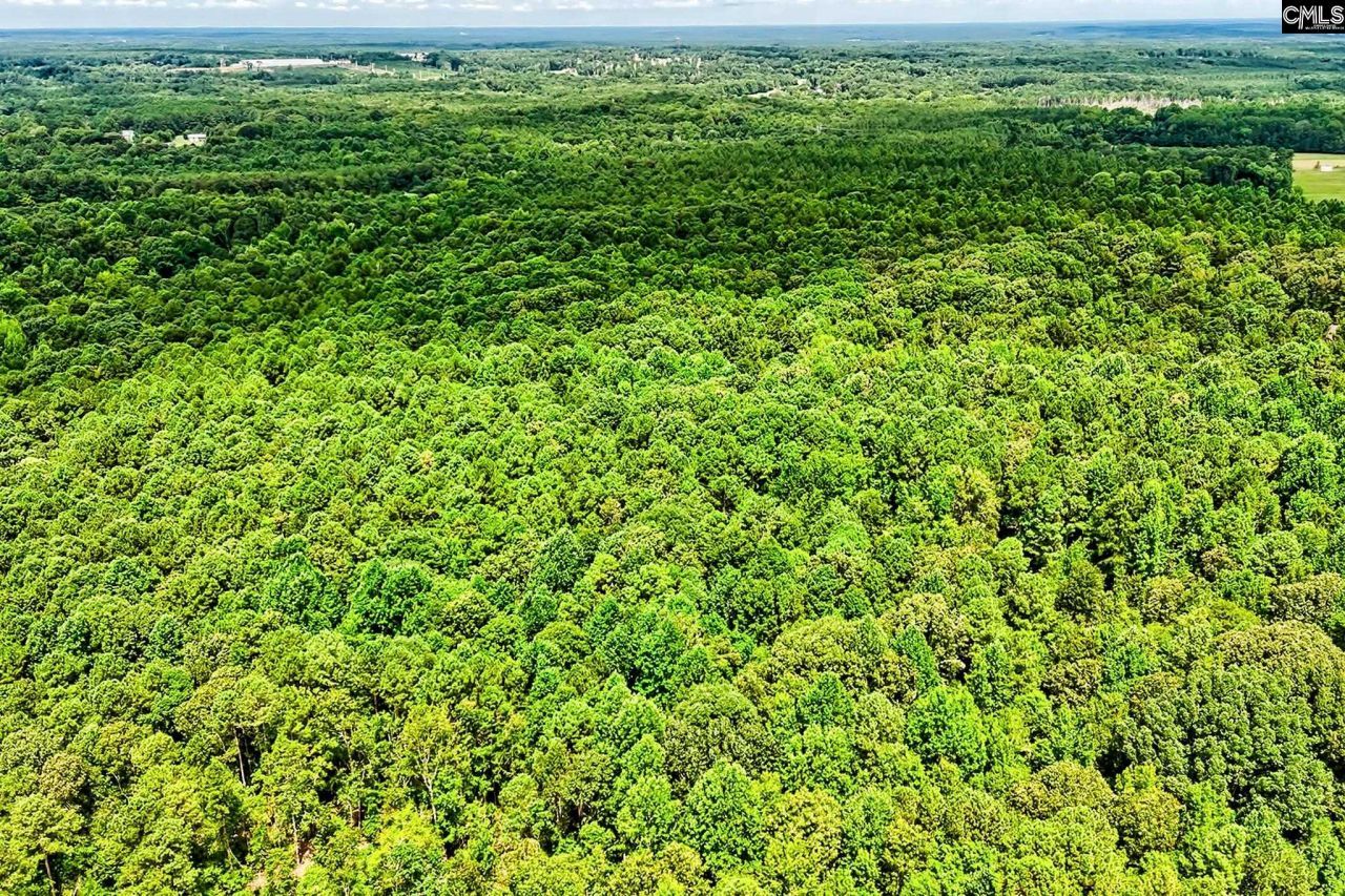 1549 Doctor Bowers Road Photo 24