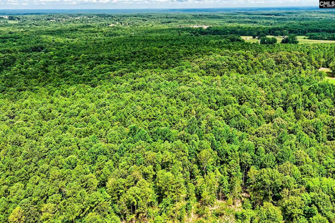 1549 Doctor Bowers Road Photo 25