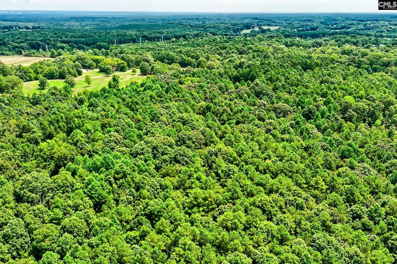 1549 Doctor Bowers Road Photo 26