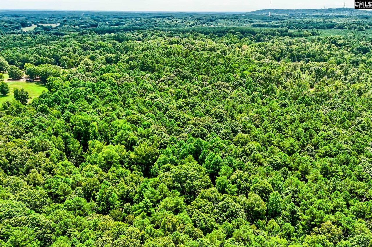 1549 Doctor Bowers Road Photo 27