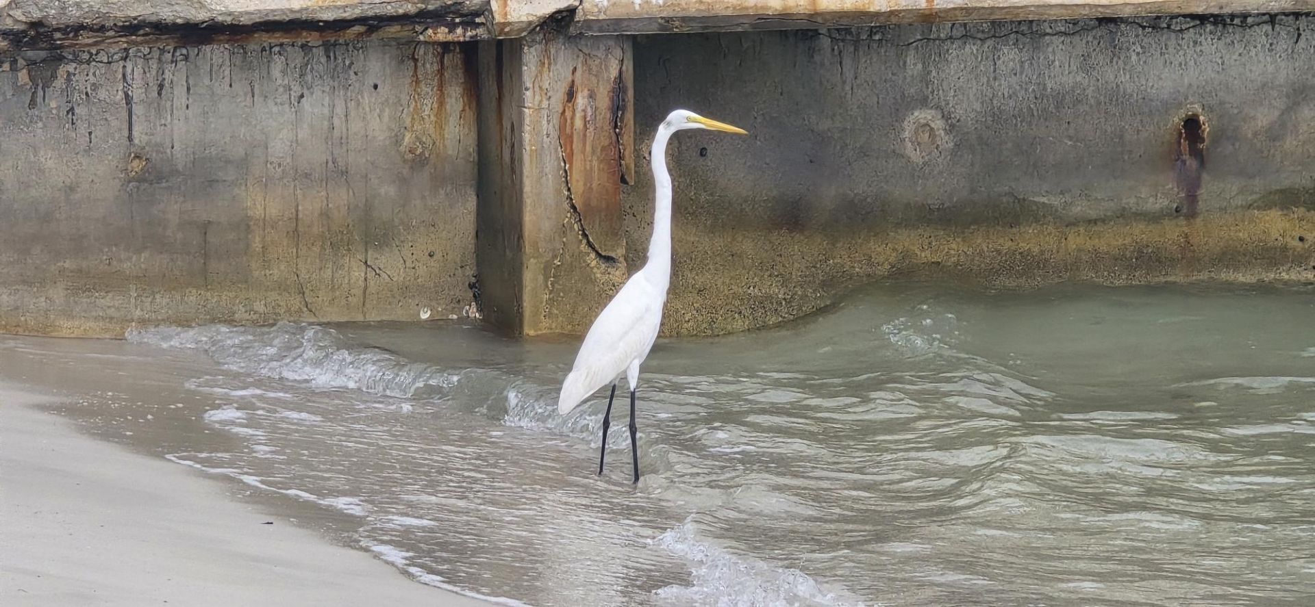 5600 N Flagler Drive, Unit 801, West Palm Beach, FL 33407 Photo