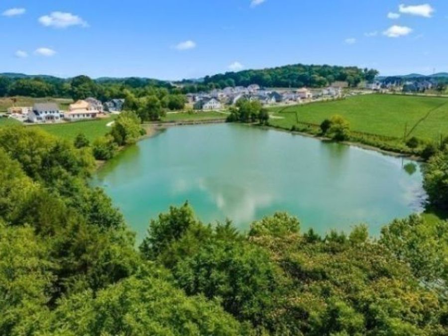 Property Image 57