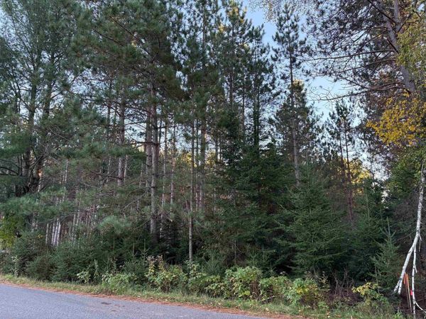 Lot 1 Plantation Road, WI 54463