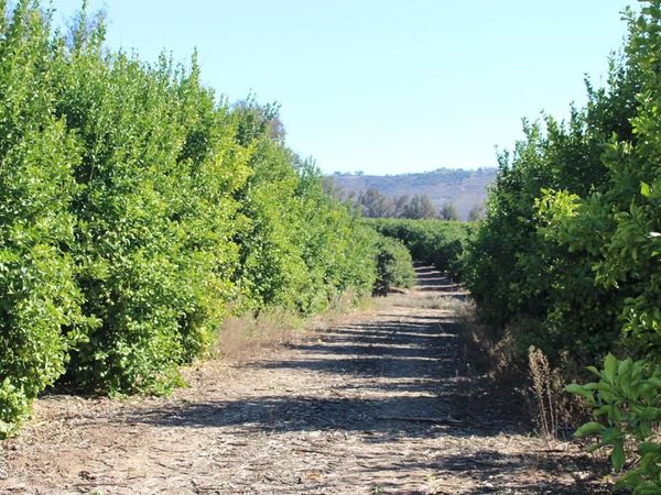 4363 Sand Canyon Road, Somis, CA 93066