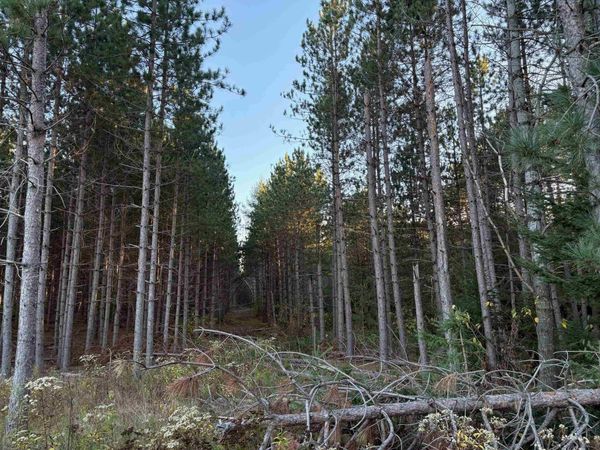 Lot 2 Plantation Road, WI 54463