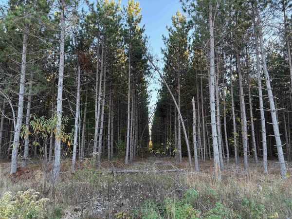 Lot 3 Plantation Road, WI 54463