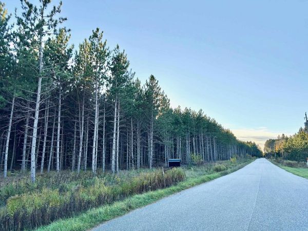 Lot 4 Plantation Road, WI 54463
