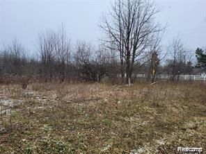 0000 S Ann Arbor Saline Road S, Lodi Township, MI 48103 Main Photo