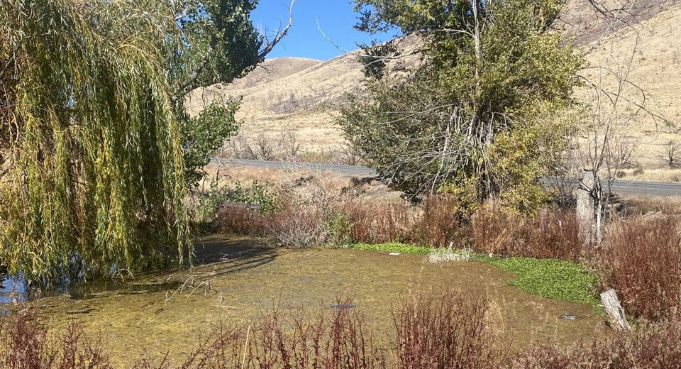 1155 S Us Highway 395, Gardnerville, NV 89410 Photo