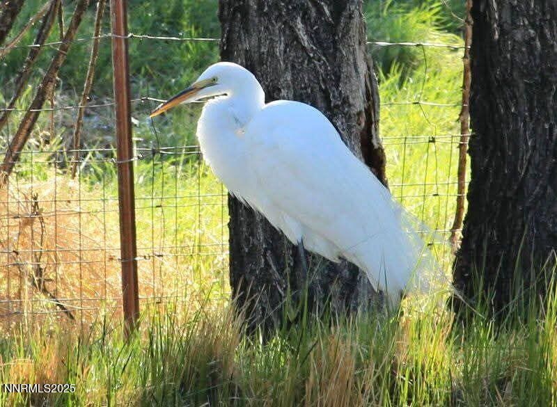 1155 S Us Highway 395, Gardnerville, NV 89410 Photo