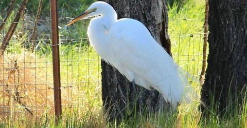 1155 S Us Highway 395, Gardnerville, NV 89410 Photo