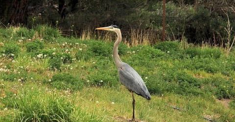 1155 S Us Highway 395, Gardnerville, NV 89410 Photo