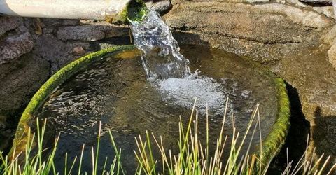 1155 S Us Highway 395, Gardnerville, NV 89410 Photo