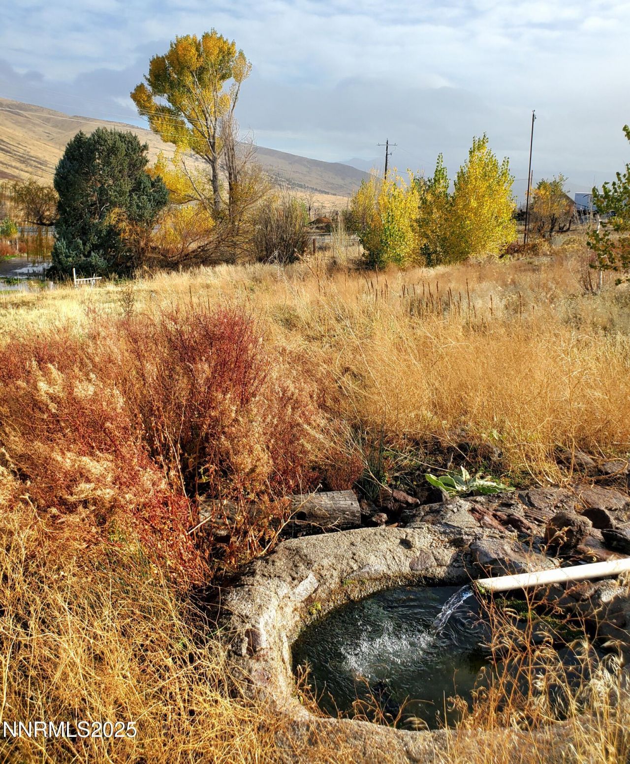 1155 S Us Highway 395, Gardnerville, NV 89410 Photo