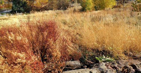 1155 S Us Highway 395, Gardnerville, NV 89410 Photo