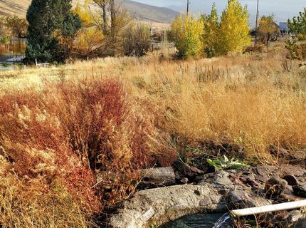 1155 S Us Highway 395, Gardnerville, NV 89410 Photo