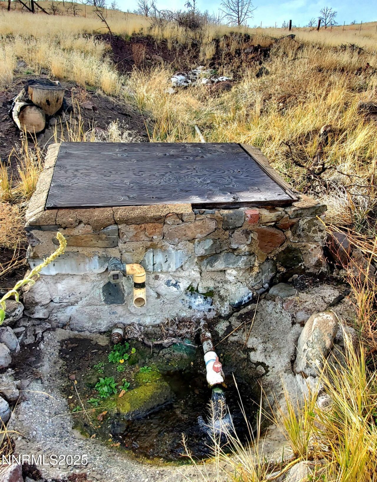 1155 S Us Highway 395, Gardnerville, NV 89410 Photo