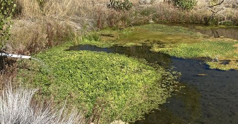 1155 S Us Highway 395, Gardnerville, NV 89410 Photo