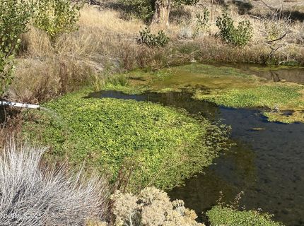 1155 S Us Highway 395, Gardnerville, NV 89410 Photo